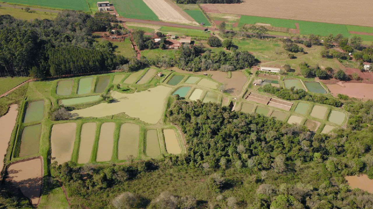 Instalaciones AguaPez