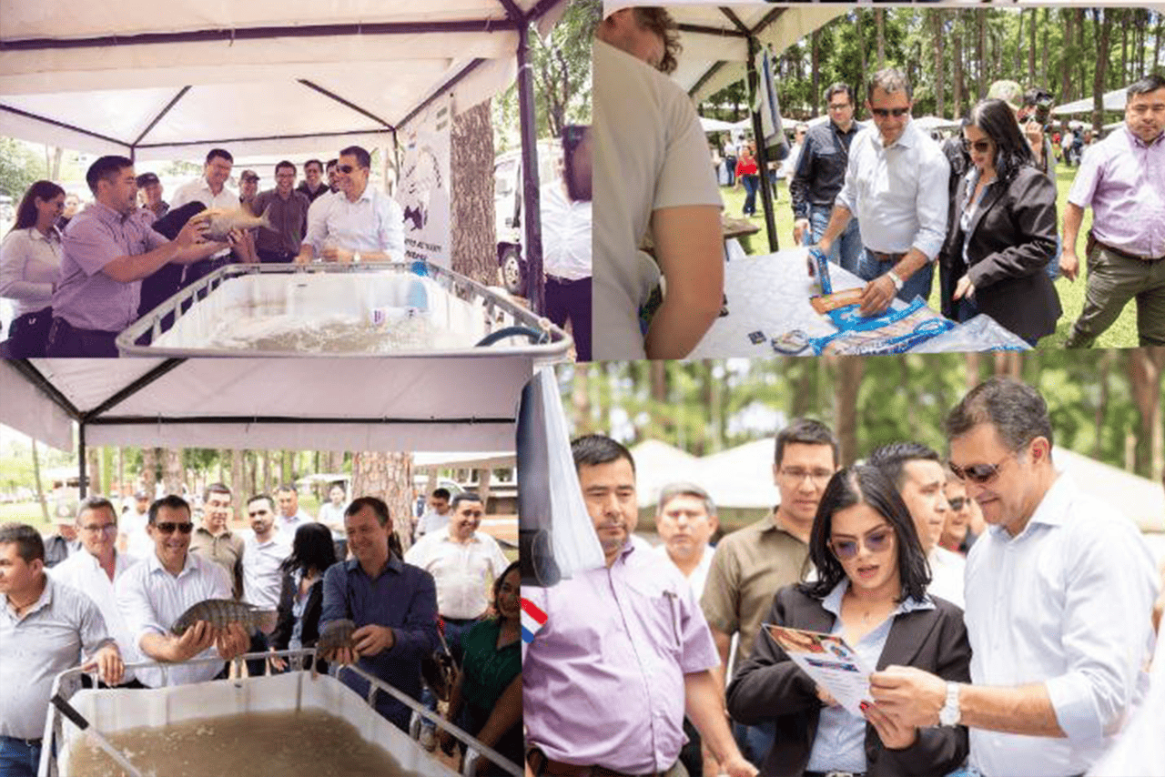 Capacitación producción