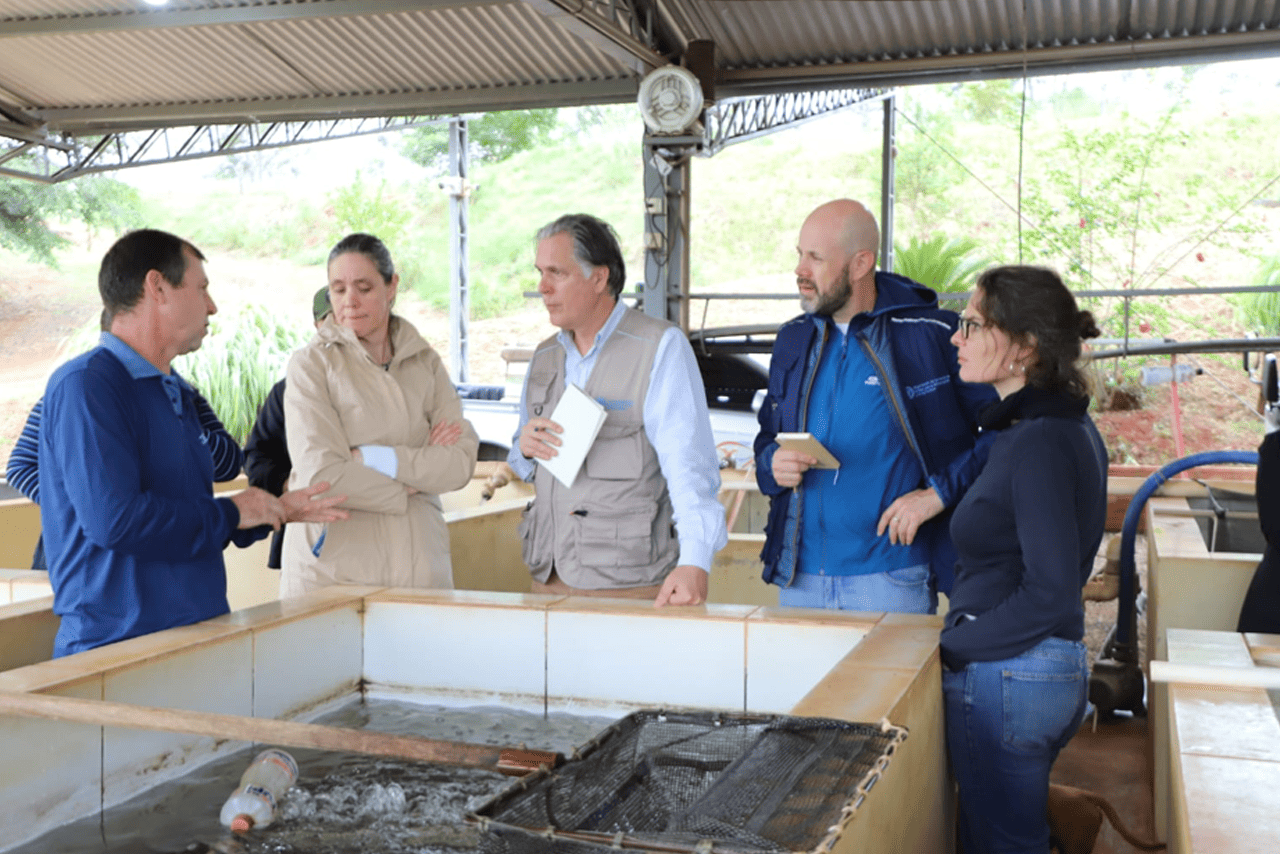 Capacitación sanidad