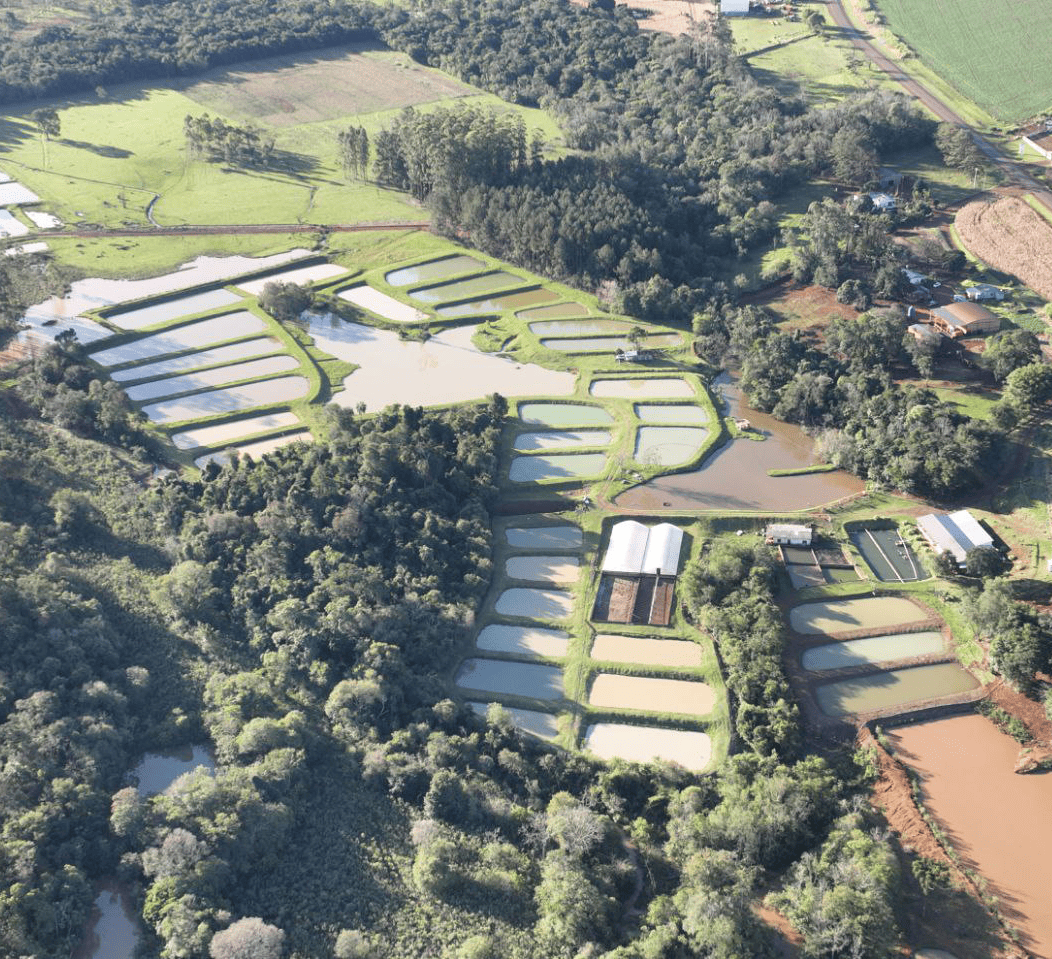 Estanques reproducción