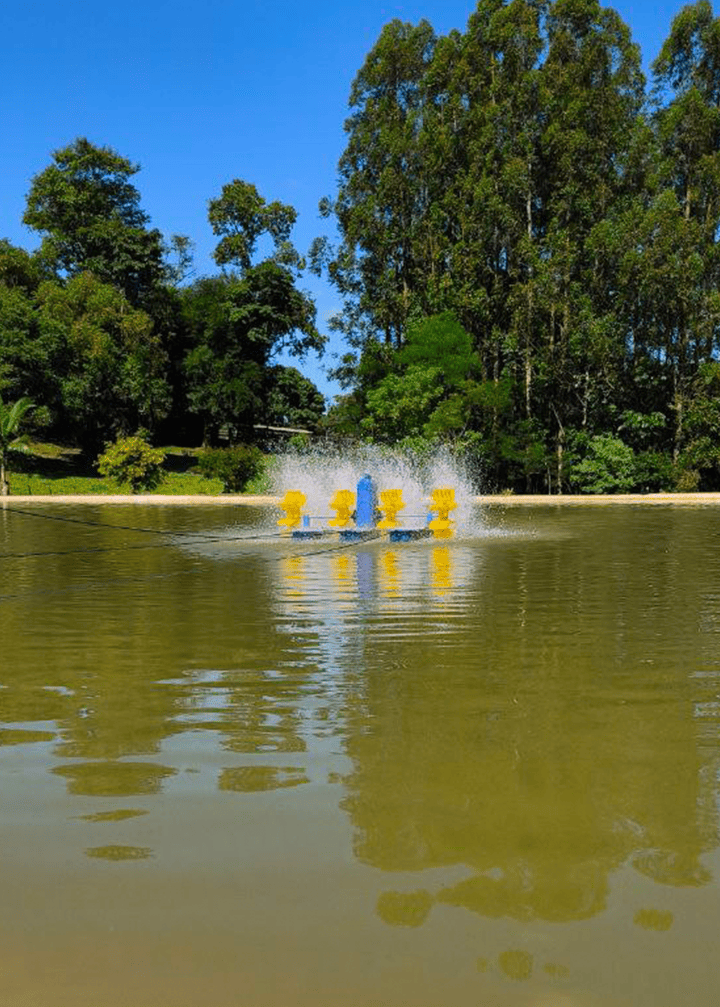 Equipos Especializados